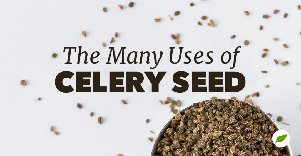 Celery Seed Uses Supplement, Spice, and Tea