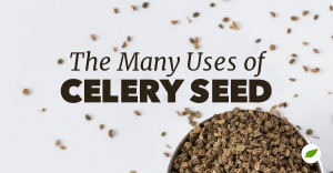 Celery-Seed-Uses