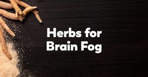herbs-for-brain-fog