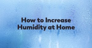 increase-humidity-at-home