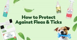 flea-tick-protection