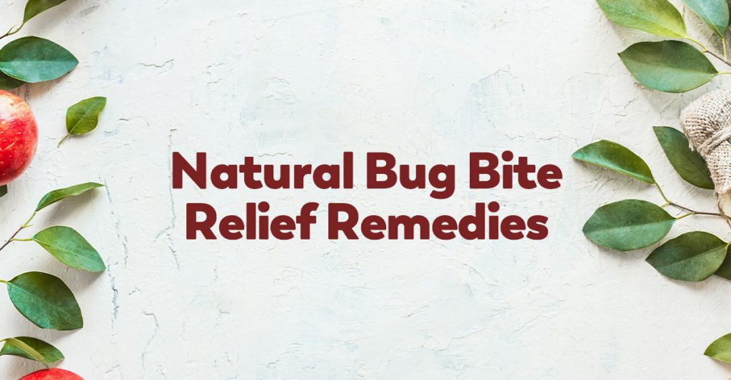 Natural Bug Bite Relief Remedies Healthy Concepts with a Nutrition Bias