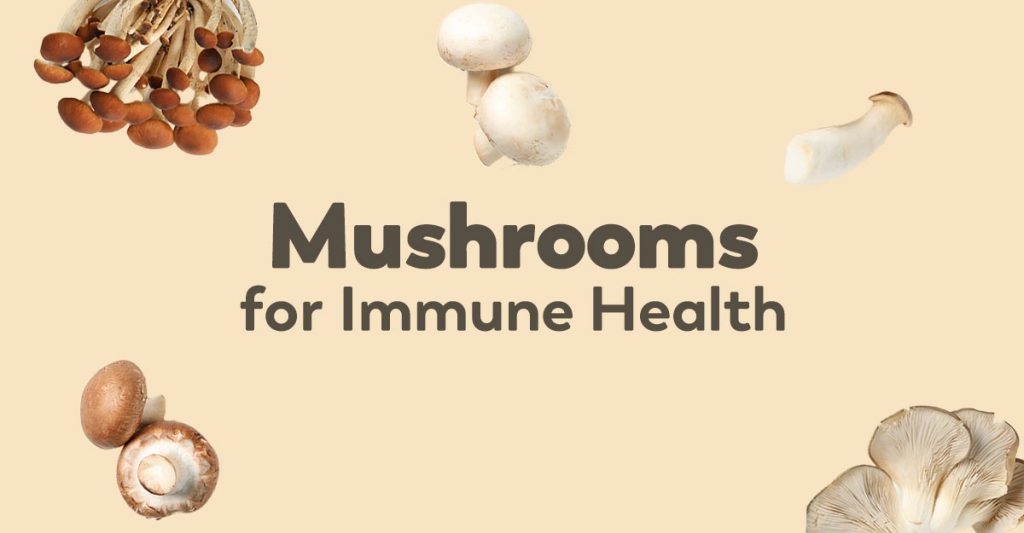 Medicinal Mushrooms That Aid Immune System Function Healthy Concepts