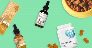 signs-pet-joint-health
