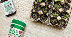 growing-herbs-leftover-containers
