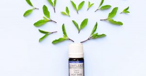 benefits-of-holy-basil