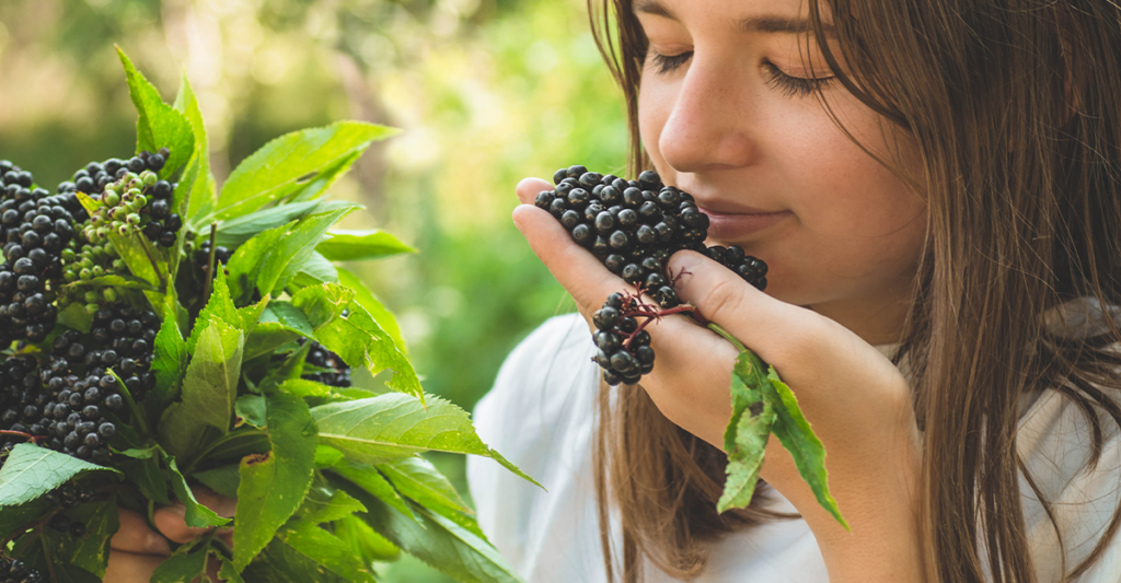 What is Elderberry Good For? Healthy Concepts with a Nutrition Bias