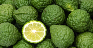 citrus bergamot