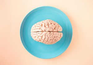 brain support supplements