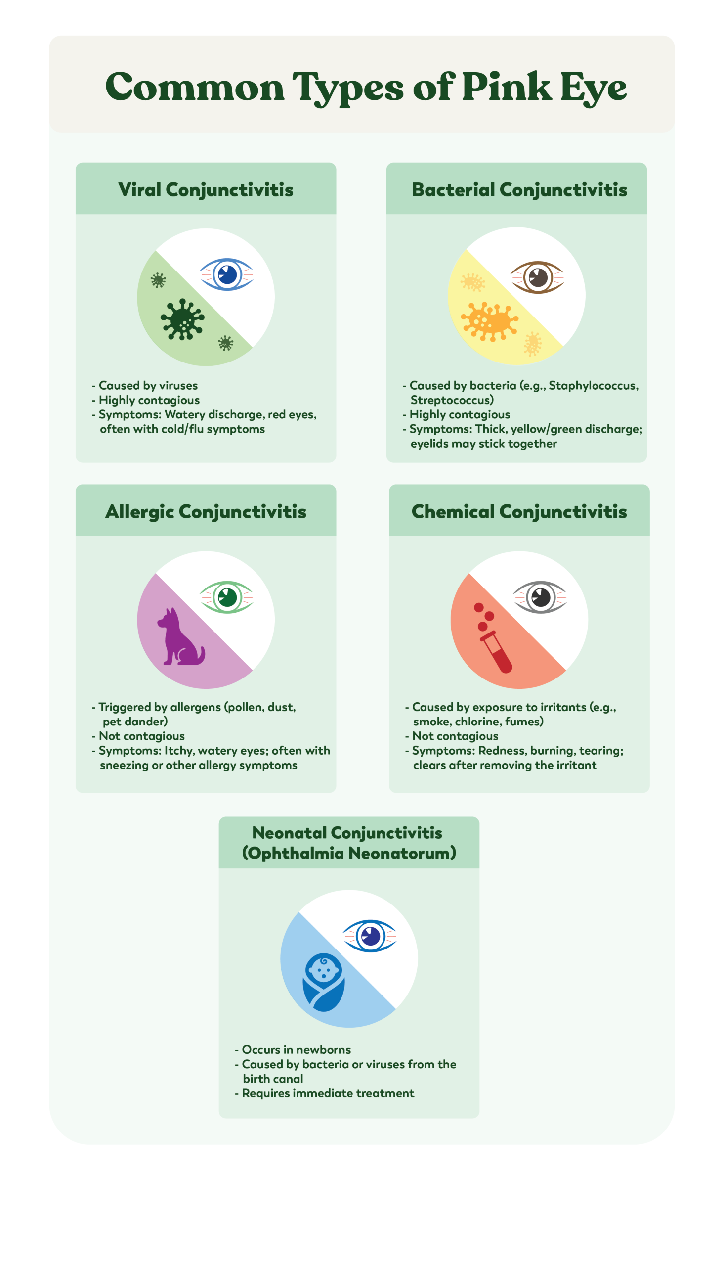 Infographic-Common Types of Pink Eye